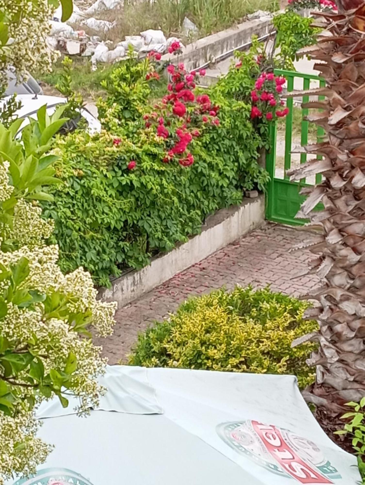 A-Vila Golem  Exterior foto
